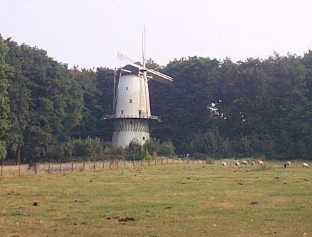 Benelux 1998