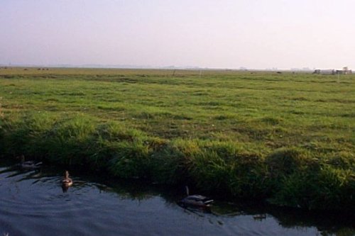 Paturages