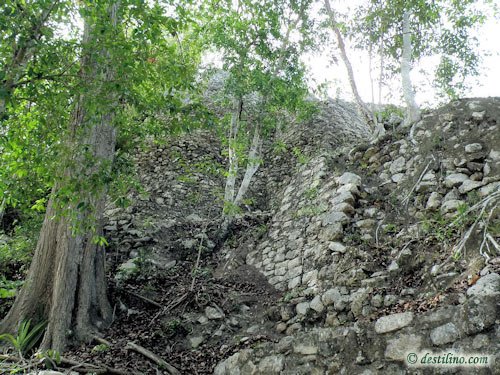 Coba (2009)