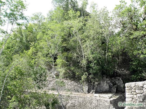 Coba (2009)