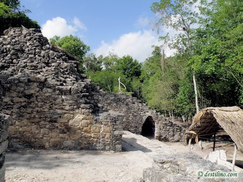 Coba (2009)