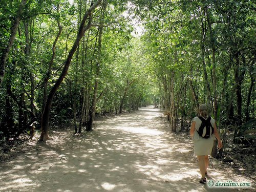 Coba (2009)