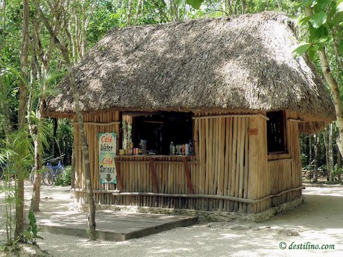 Coba (2009)