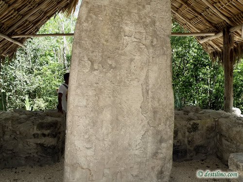 Coba (2009)