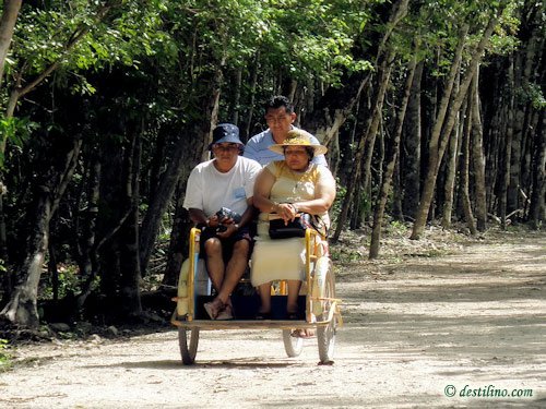 Coba (2009)