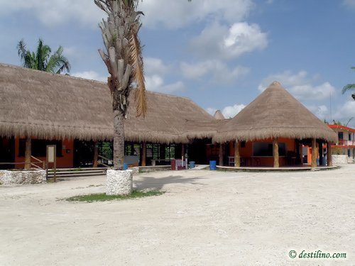 Chacchoben (2009)