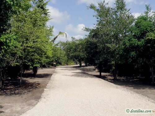 Chacchoben (2009)
