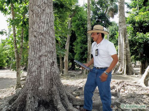 Chacchoben (2009)