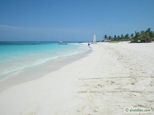 Hotel Catalonia Royal Tulum (2009)