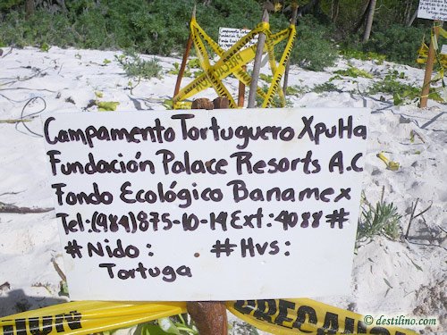 Hotel Catalonia Royal Tulum (2009)
