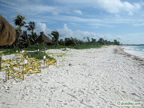 Hotel Catalonia Royal Tulum (2009)