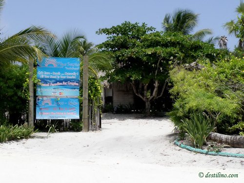 Hotel Playa Sonrisa (2009)