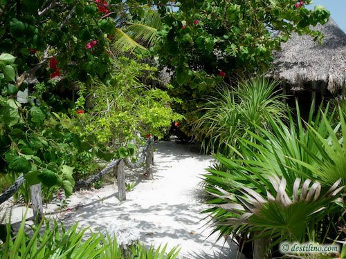Hotel Playa Sonrisa (2009)