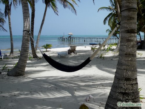 Hotel Playa Sonrisa (2009)