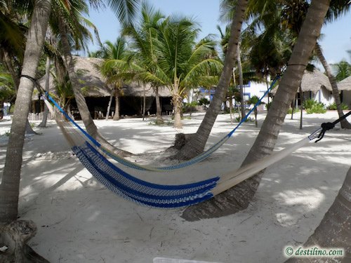 Hotel Playa Sonrisa (2009)