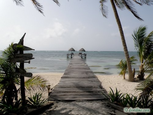 Hotel Playa Sonrisa (2009)