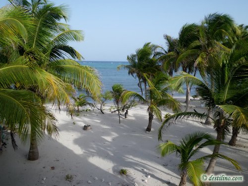 Hotel Playa Sonrisa (2009)