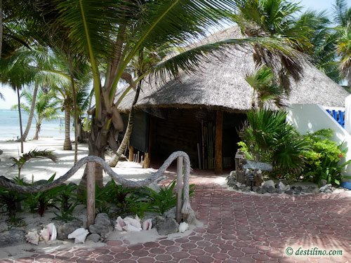 Hotel Playa Sonrisa (2009)