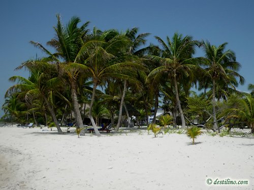 Hotel Playa Sonrisa (2009)