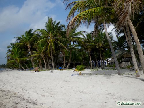 Hotel Playa Sonrisa (2009)