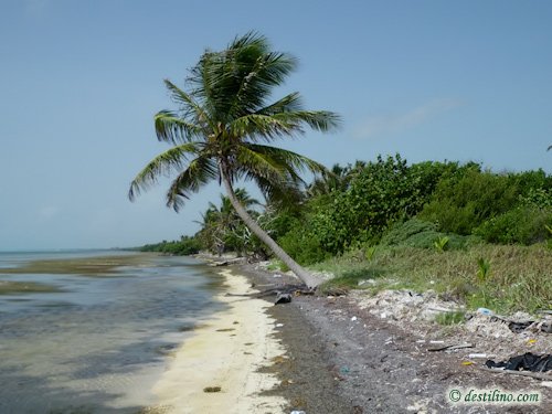 Hotel Playa Sonrisa (2009)