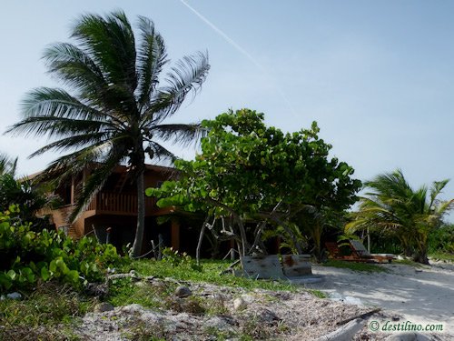Hotel Playa Sonrisa (2009)