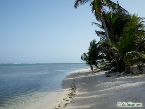 Hotel Playa Sonrisa (2009)