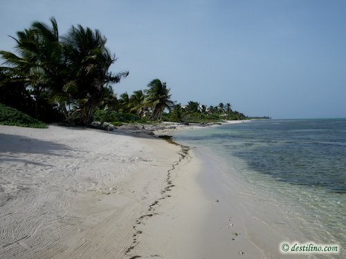 Hotel Playa Sonrisa (2009)