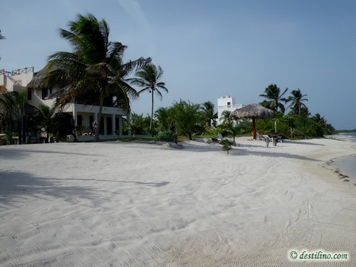 Hotel Playa Sonrisa (2009)