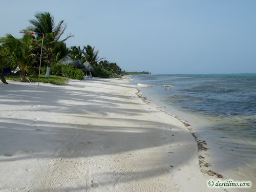 Hotel Playa Sonrisa (2009)