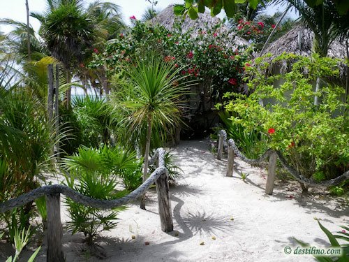 Hotel Playa Sonrisa (2009)
