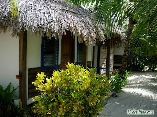 Hotel Playa Sonrisa (2009)
