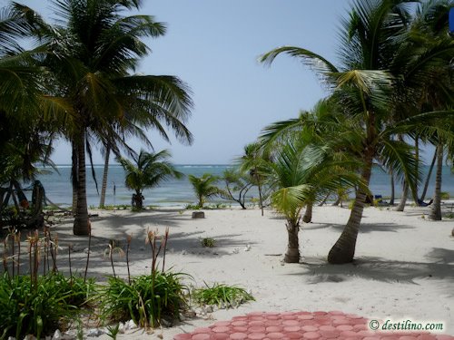 Hotel Playa Sonrisa (2009)