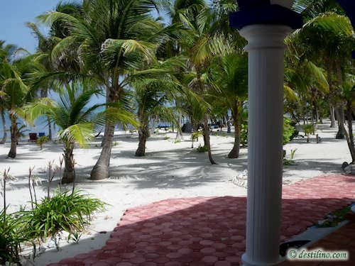Hotel Playa Sonrisa (2009)