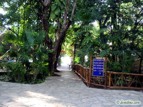 Hotel El Tukan (2009)