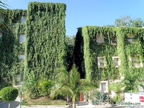 Hotel El Tukan (2009)