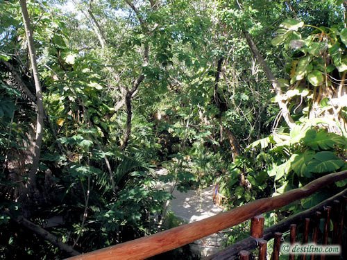 Hotel El Tukan (2009)