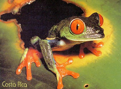 Costa Rica (1994)