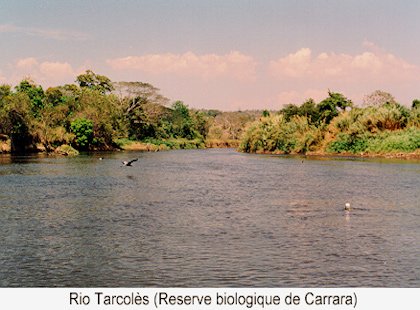 Costa Rica (1994)