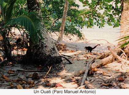 Costa Rica (1994)