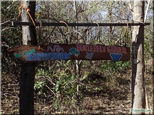 Ferme des reptiles et papillons