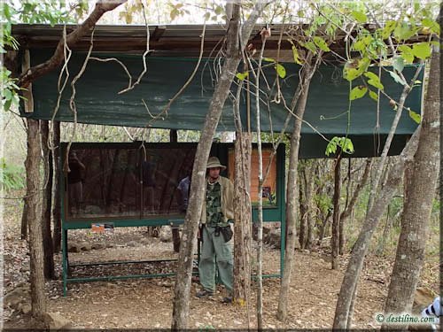 Ferme des reptiles et papillons