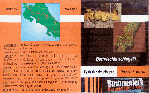 Ferme des reptiles et papillons