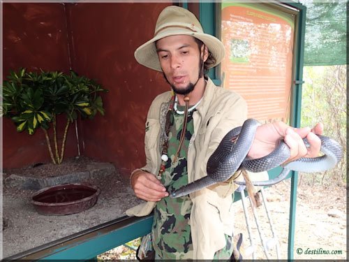 Ferme des reptiles et papillons