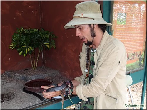 Ferme des reptiles et papillons
