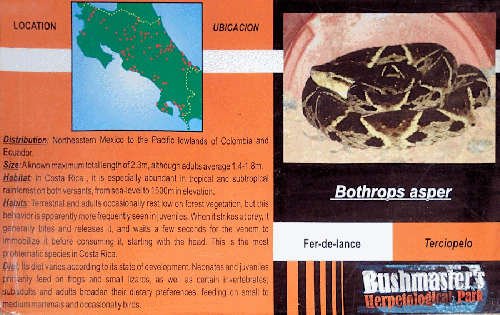 Ferme des reptiles et papillons