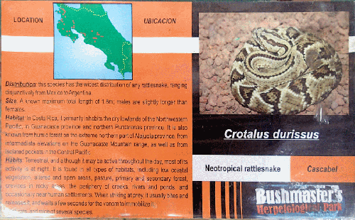 Ferme des reptiles et papillons