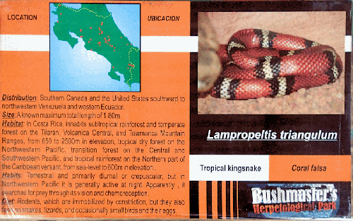 Ferme des reptiles et papillons