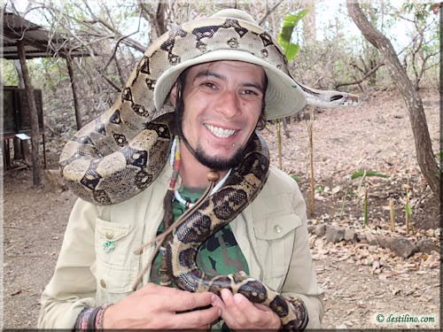 Ferme des reptiles et papillons