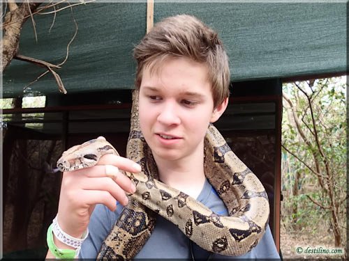 Ferme des reptiles et papillons